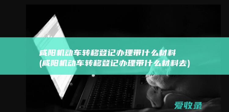 咸阳机动车转移登记办理带什么材料(咸阳机动车转移登记办理带什么材料去)