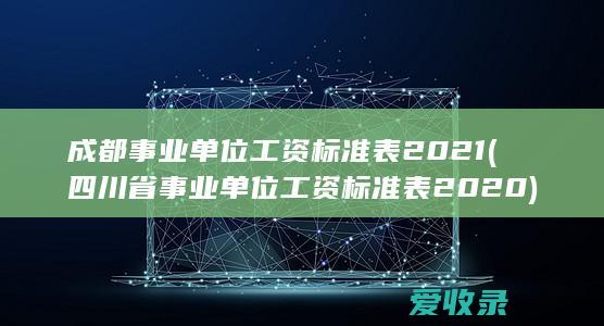 成都事业单位工资标准表2021(四川省事业单位工资标准表2020)