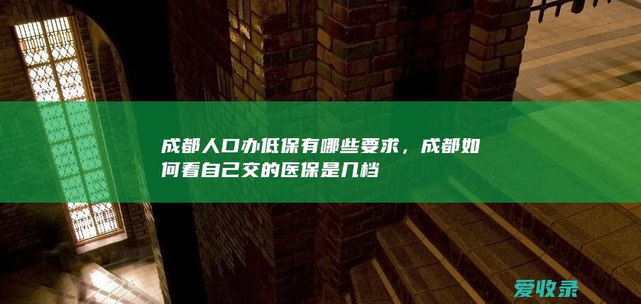 成都人口办低保有哪些要求，成都如何看自己交的医保是几档