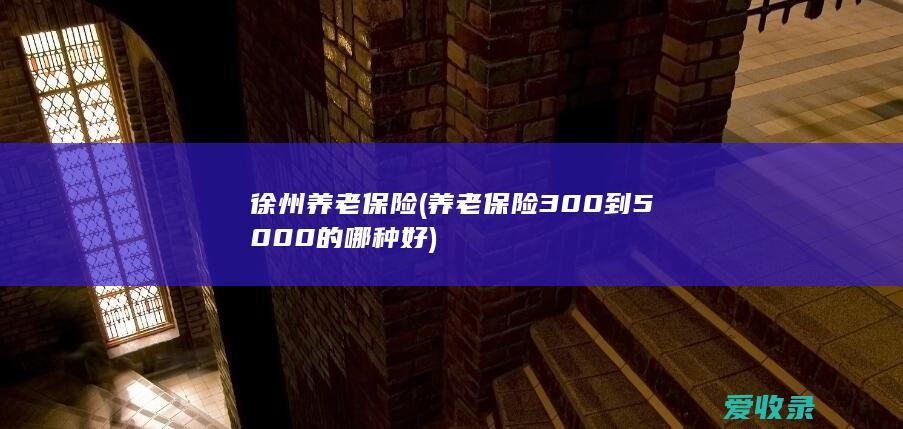 徐州 养老保险(养老保险300到5000的哪种好)