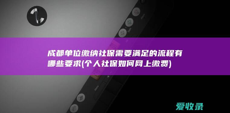 成都单位缴纳社保需要满足的流程有哪些要求(个人社保如何网上缴费)