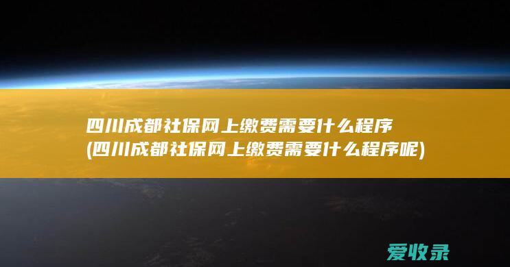 四川成都社保网上缴费需要什么程序(四川成都社保网上缴费需要什么程序呢)