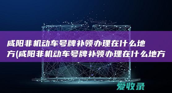 咸阳非机动车号牌补领办理在什么地方(咸阳非机动车号牌补领办理在什么地方)