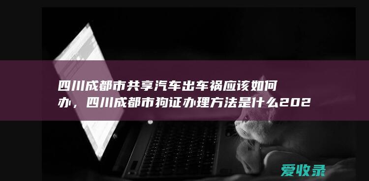 四川成都市共享汽车出车祸应该如何办，四川成都市狗证办理方法是什么2022