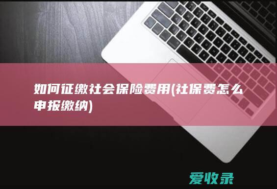 如何征缴社会保险费用(社保费怎么申报缴纳)