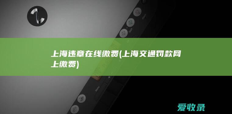 上海违章在线缴费(上海交通罚款网上缴费)