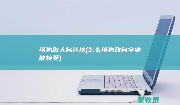 给狗取人名违法(怎么给狗改名字他能接受)