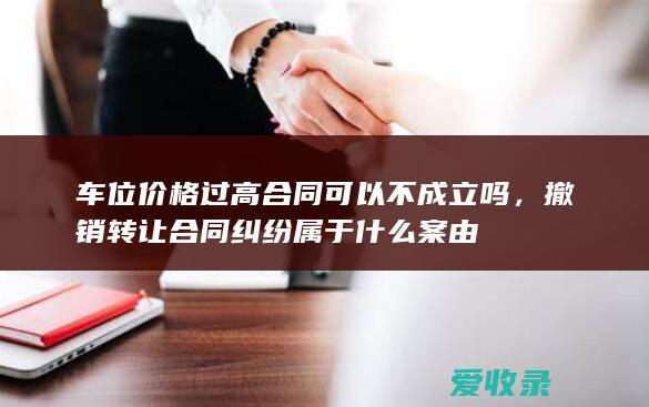 车位价格过高合同可以不成立吗，撤销转让合同纠纷属于什么案由