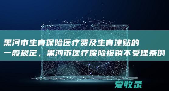 黑河市生育保险医疗费及生育津贴的一般规定，黑河市医疗保险报销不受理条例