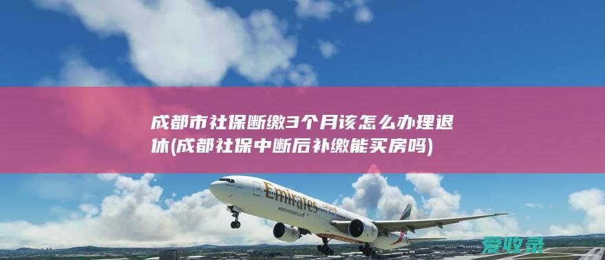 成都市社保断缴3个月该怎么办理退休(成都社保中断后补缴能买房吗)