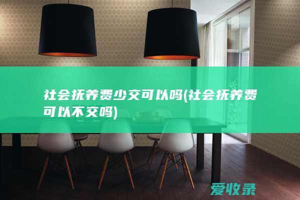 社会抚养费少交可以吗(社会抚养费可以不交吗)