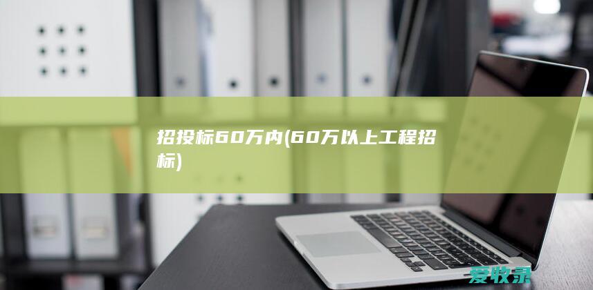 招投标60万内(60万以上工程招标)