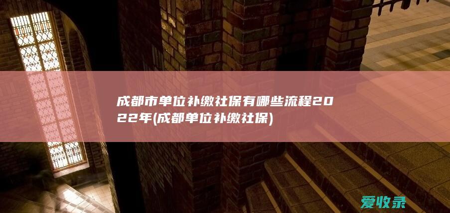 成都市单位补缴社保有哪些流程2022年(成都单位补缴社保)