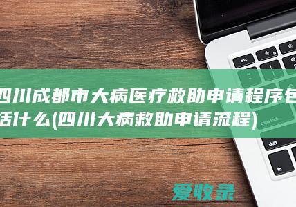 四川成都市大病医疗救助申请程序包括什么(四川大病救助申请流程)