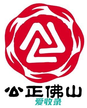 佛山社会组织发展成果展示会 佛山市公益组织