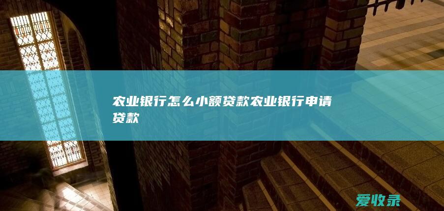 农业银行怎么小额贷款 农业银行申请贷款