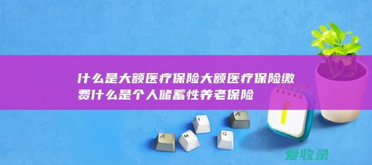 什么是大额医疗保险大额医疗保险缴费 什么是个人储蓄性养老保险