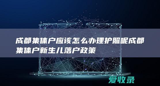 成都集体户应该怎么办理护照呢 成都集体户新生儿落户政策