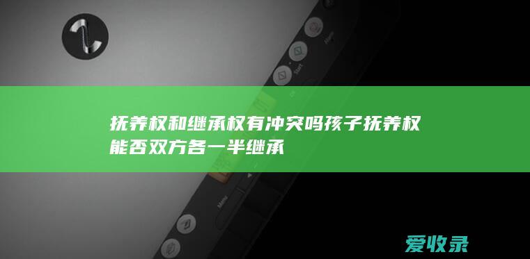 抚养权和继承权有冲突吗 孩子抚养权能否双方各一半继承