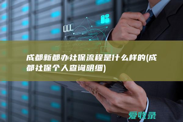 成都新都办社保流程是什么样的(成都社保个人查询明细)