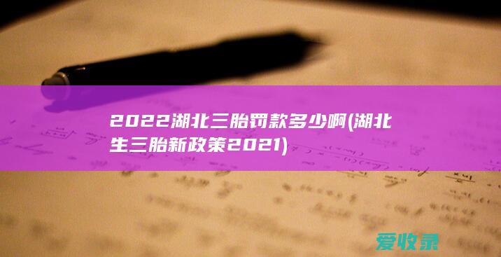 2022湖北三胎罚款多少啊(湖北生三胎新政策2021)