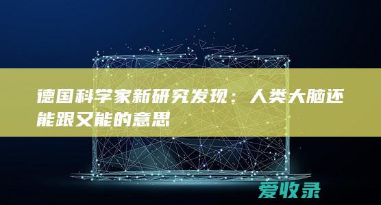 德国科学家新研究发现：人类大脑还能跟又能的意思