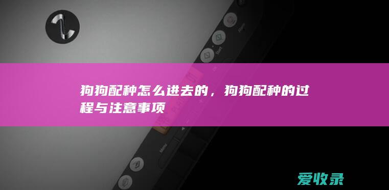 狗狗配种怎么进去的，狗狗配种的过程与注意事项