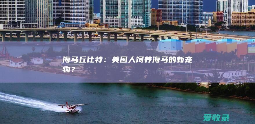 海马丘比特：美国人饲养海马的新宠物？