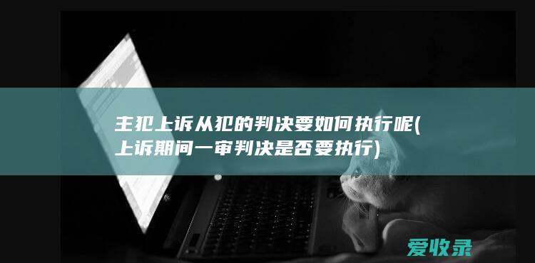 主犯上诉从犯的判决要如何执行呢(上诉期间一审判决是否要执行)