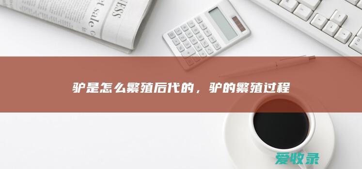 驴是怎么繁殖后代的，驴的繁殖过程