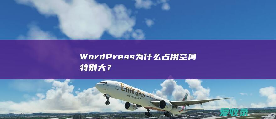 WordPress为什么占用空间特别大？