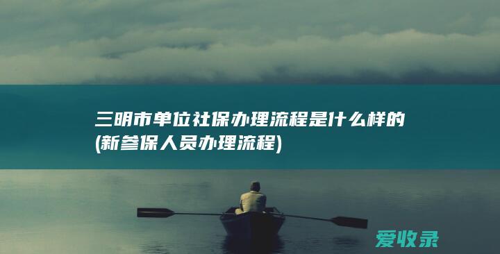 三明市单位社保办理流程是什么样的(新参保人员办理流程)