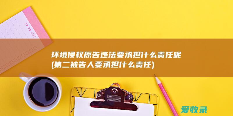 环境侵权原告违法要承担什么责任呢(第二被告人要承担什么责任)