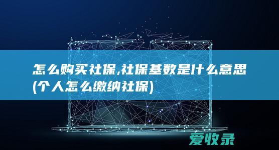 怎么购买社保,社保基数是什么意思(个人怎么缴纳社保)