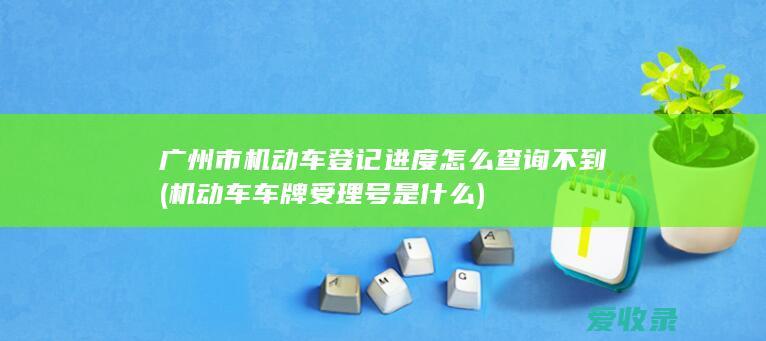 广州市机动车登记进度怎么查询不到(机动车车牌受理号是什么)