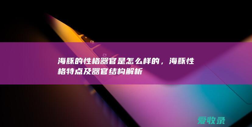 海豚的性格器官是怎么样的，海豚性格特点及器官结构解析