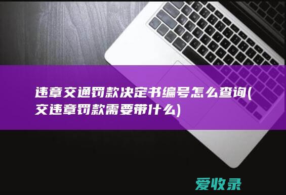 违章交通罚款决定书编号怎么查询(交违章罚款需要带什么)