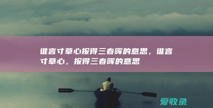 谁言寸草心 报得三春晖的意思，谁言寸草心，报得三春晖的意思