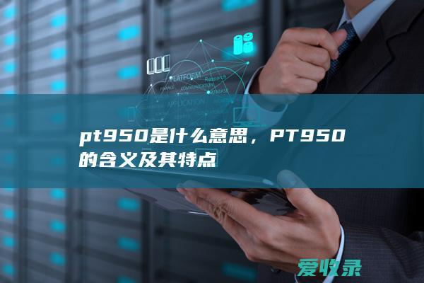 pt950是什么意思，PT950的含义及其特点