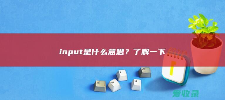 input是什么意思？了解一下