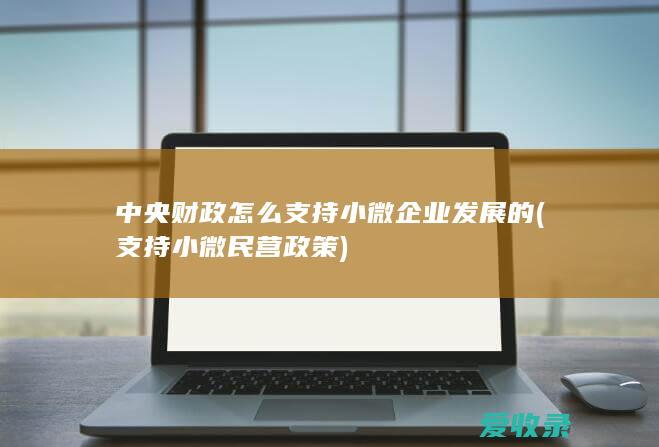 中央财政怎么支持小微企业发展的(支持小微民营政策)