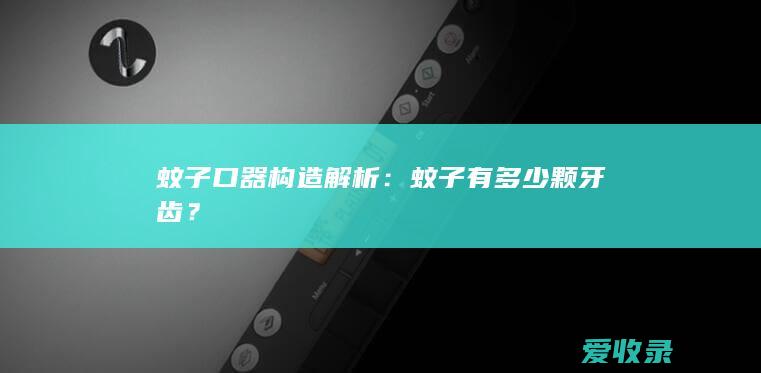 蚊子口器构造解析：蚊子有多少颗牙齿？