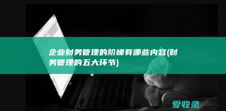 企业财务管理的阶梯有哪些内容(财务管理的五大环节)