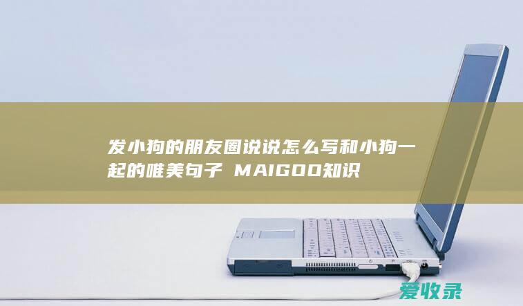 发小狗的朋友圈说说怎么写 和小狗一起的唯美句子