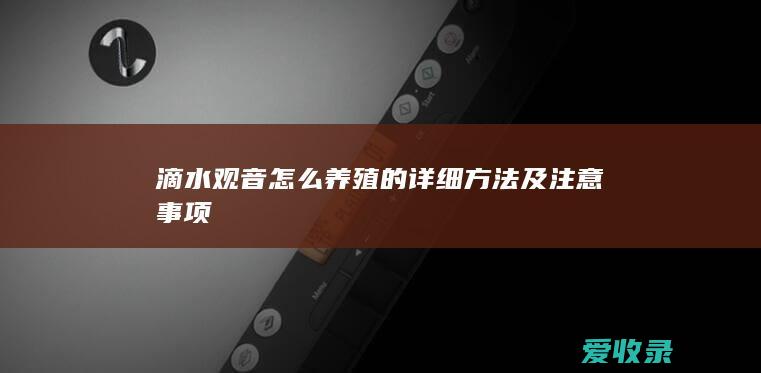 滴水观音怎么养殖的详细方法及注意事项