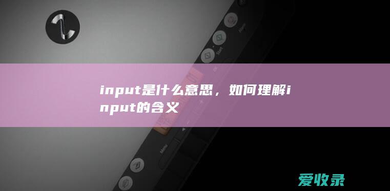 input是什么意思，如何理解input的含义