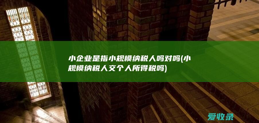 小企业是指小规模纳税人吗对吗(小规模纳税人交个人所得税吗)