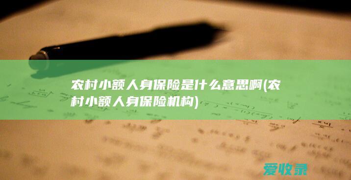 农村小额人身保险是什么意思啊(农村小额人身保险机构)