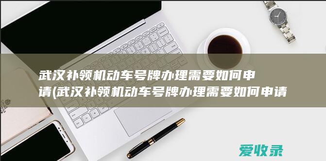 武汉补领机动车号牌办理需要如何申请(武汉补领机动车号牌办理需要如何申请呢)