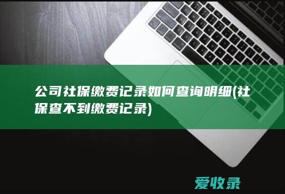 公司社保缴费记录如何查询明细(社保查不到缴费记录)